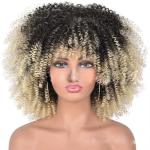 Short Curly Afro Lace-Style Wig