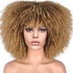 Short Curly Afro Lace-Style Wig